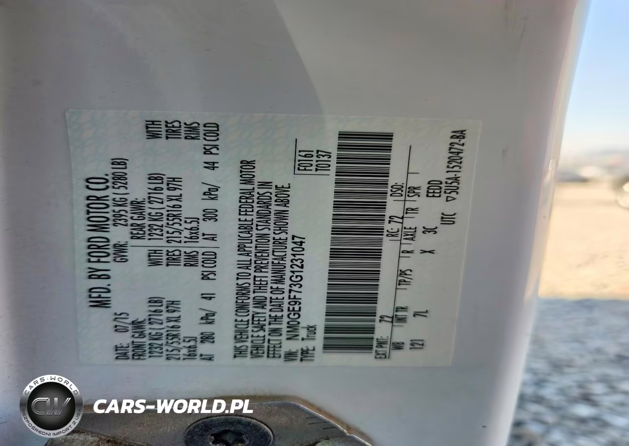 2016 Ford Transit Connect VIN:NM0GE9F73G1231047 - 12
