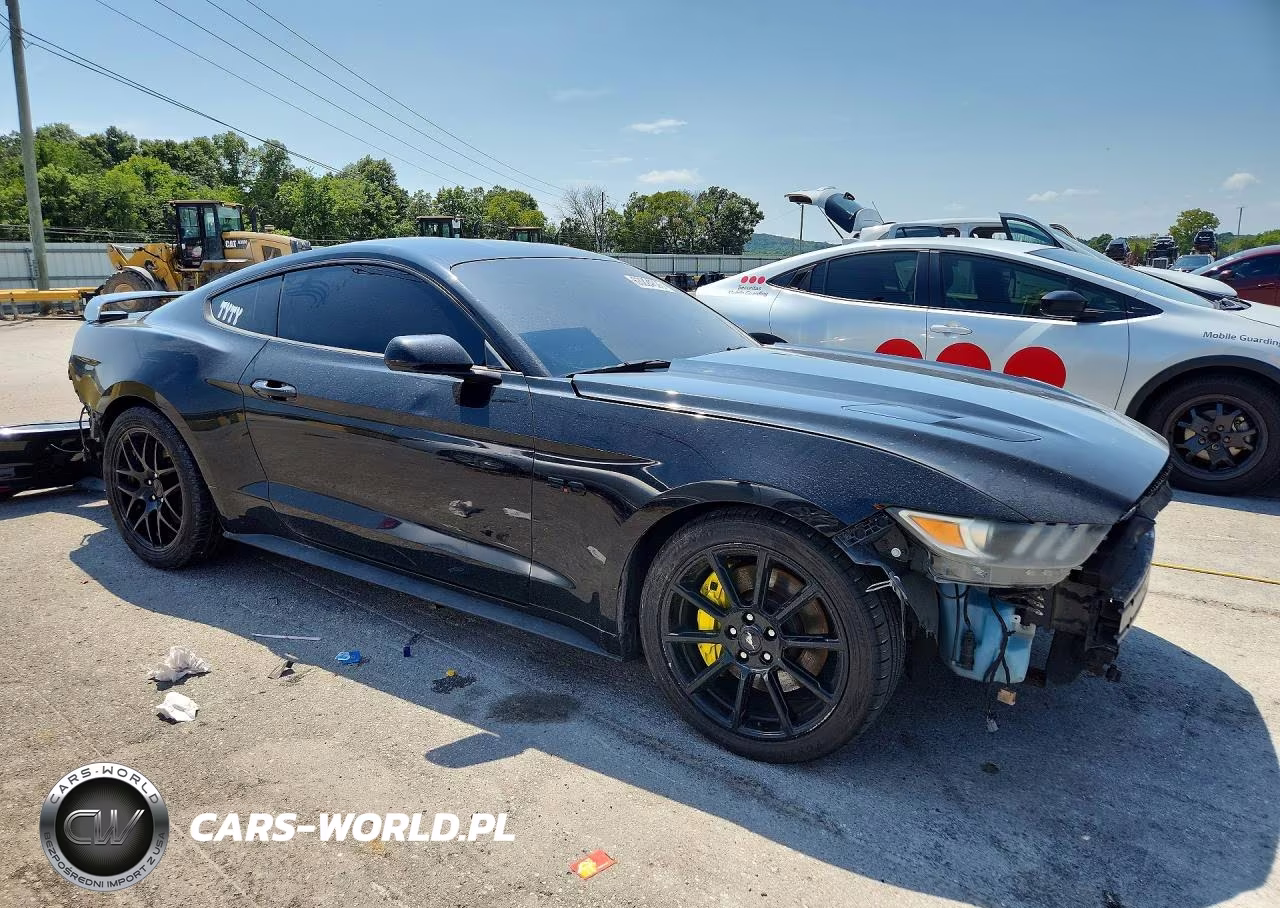 2016 Ford Mustang Gt VIN:1FA6P8CF8G5332629 - 4