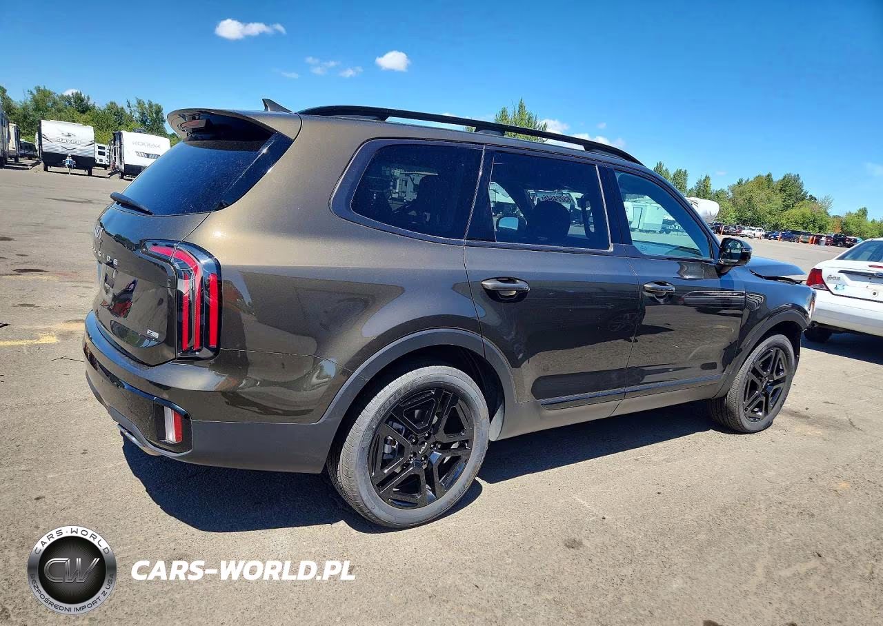 2024 Kia Telluride Sx-Prestige X-Line VIN:5XYP5DGC5RG563351 - 3