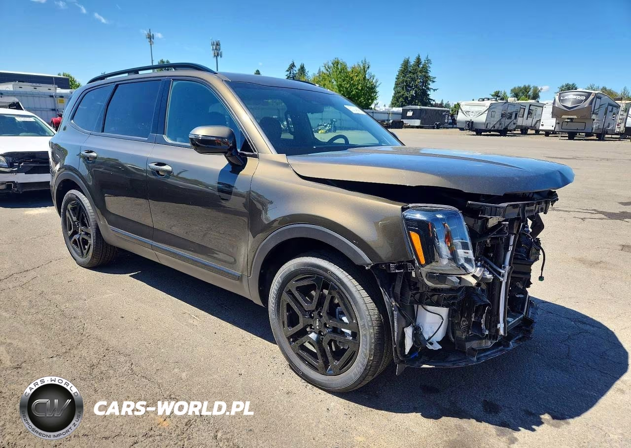 2024 Kia Telluride Sx-Prestige X-Line VIN:5XYP5DGC5RG563351 - 4