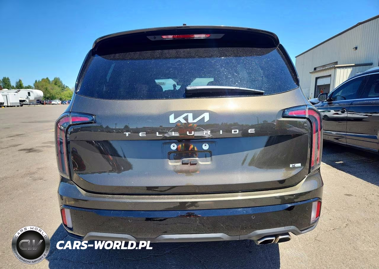 2024 Kia Telluride Sx-Prestige X-Line VIN:5XYP5DGC5RG563351 - 6