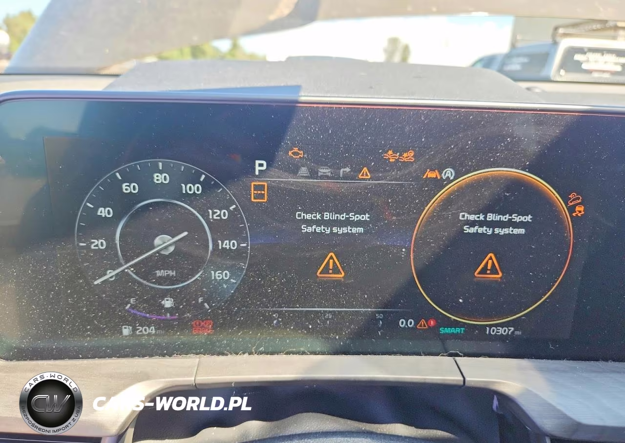 2024 Kia Telluride Sx-Prestige X-Line VIN:5XYP5DGC5RG563351 - 9