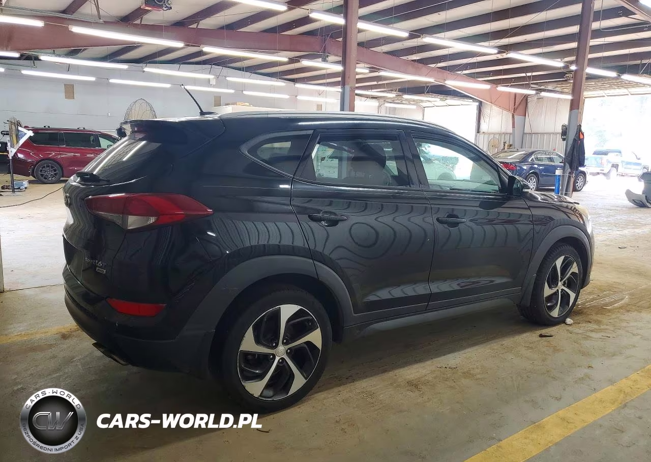 2016 Hyundai Tucson Sport VIN:KM8J3CA24GU069334 - 3