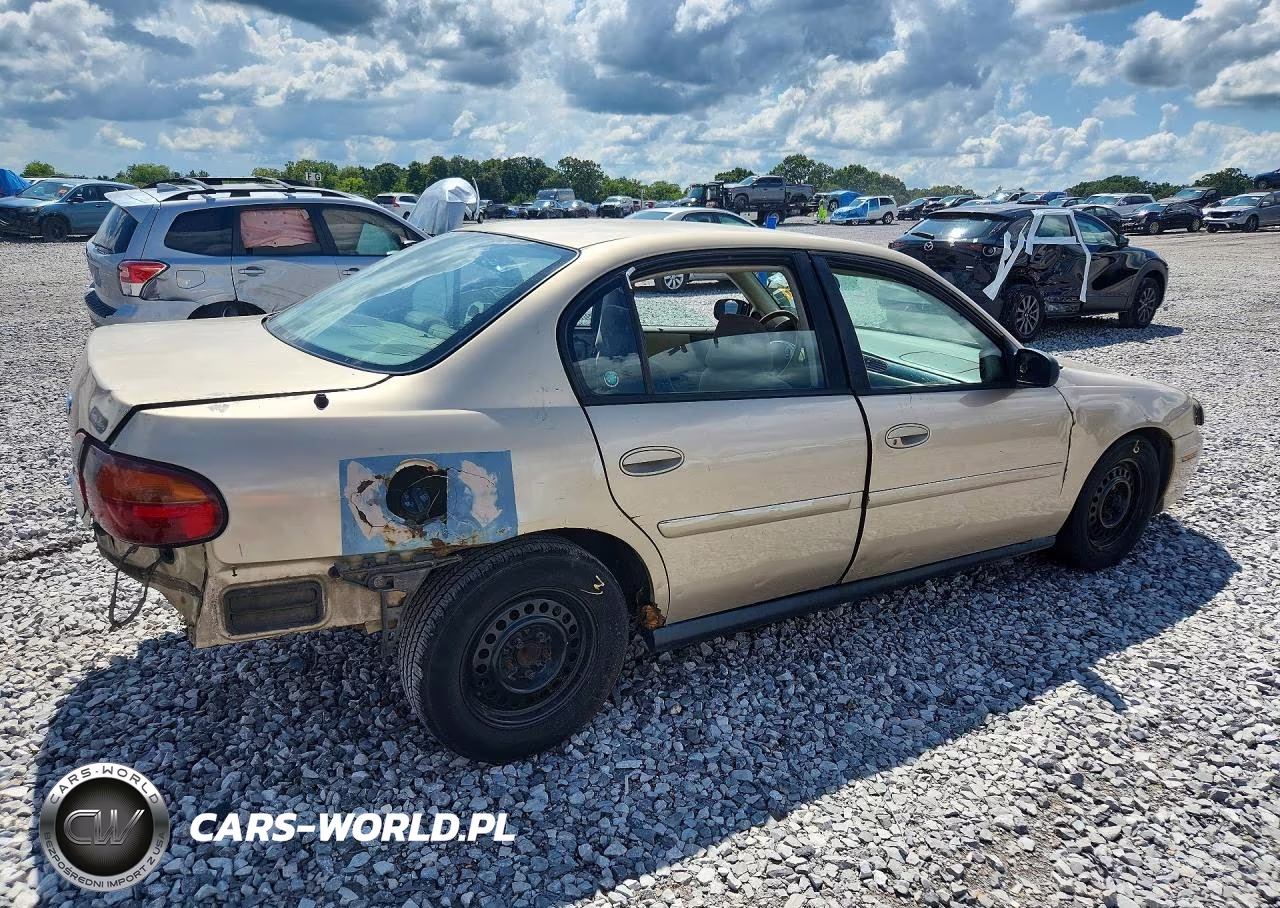 2003 Chevrolet Malibu VIN:1G1ND52J53M503560 - 3