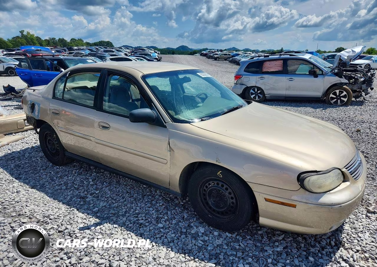2003 Chevrolet Malibu VIN:1G1ND52J53M503560 - 4