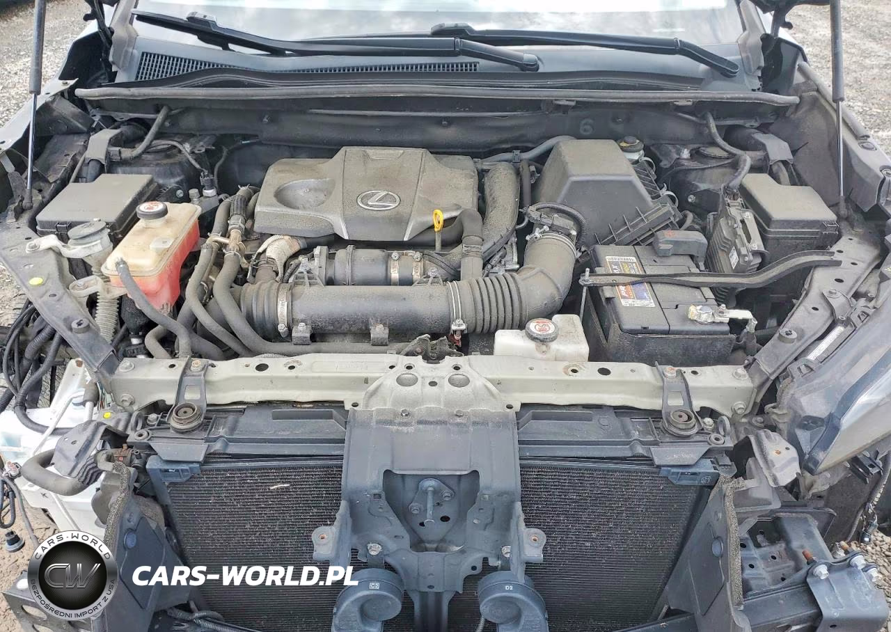 2020 Lexus Nx 300 F Sport VIN:JTJSARDZ1L5003075 - 12