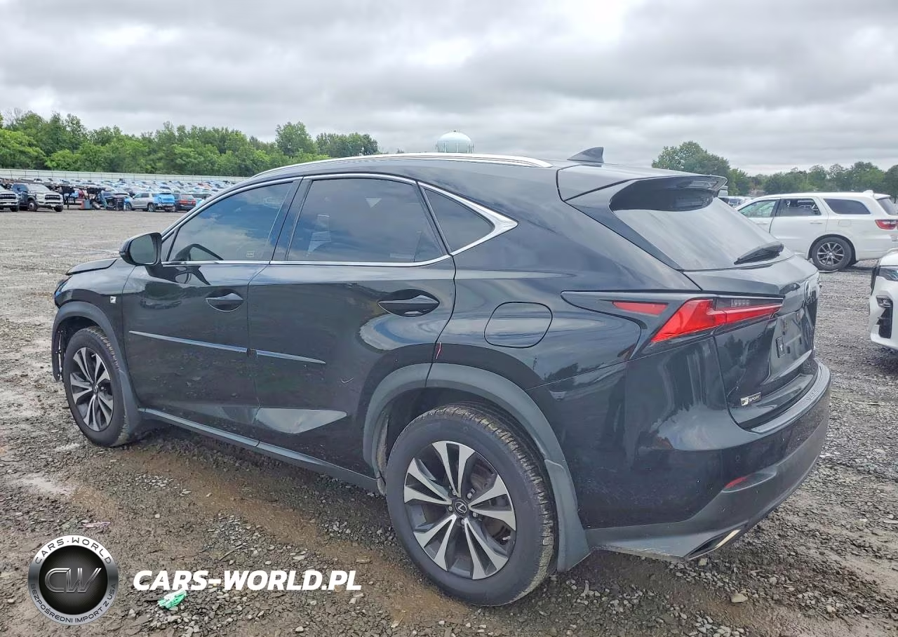 2020 Lexus Nx 300 F Sport VIN:JTJSARDZ1L5003075 - 2