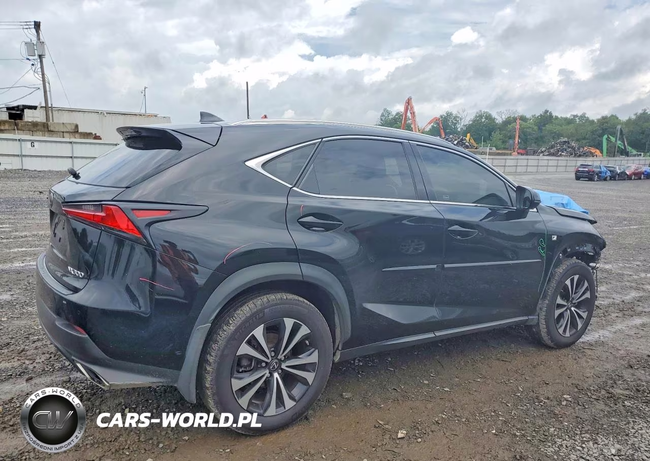 2020 Lexus Nx 300 F Sport VIN:JTJSARDZ1L5003075 - 3
