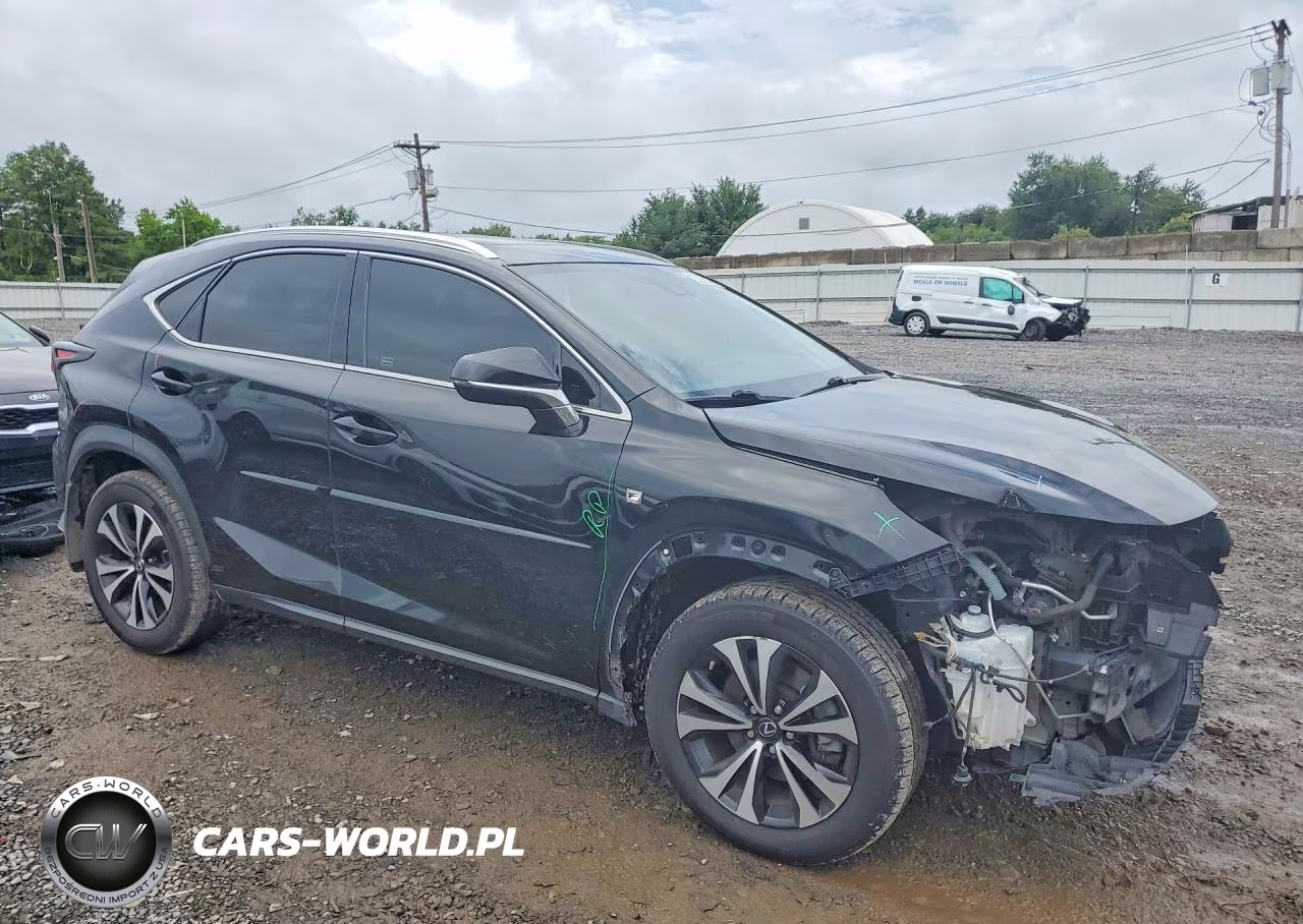 2020 Lexus Nx 300 F Sport VIN:JTJSARDZ1L5003075 - 4