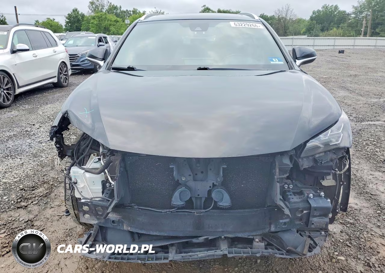 2020 Lexus Nx 300 F Sport VIN:JTJSARDZ1L5003075 - 5