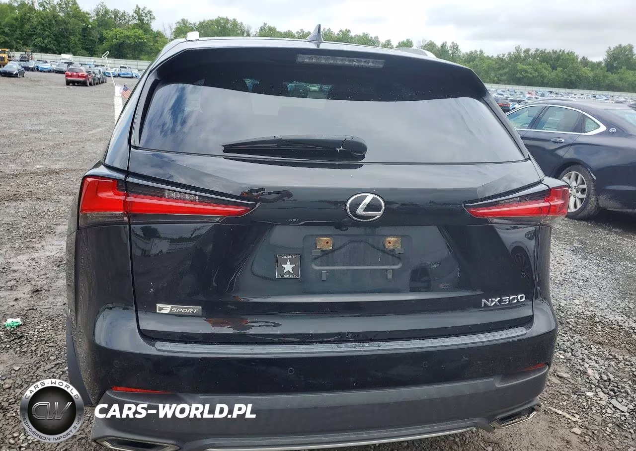 2020 Lexus Nx 300 F Sport VIN:JTJSARDZ1L5003075 - 6