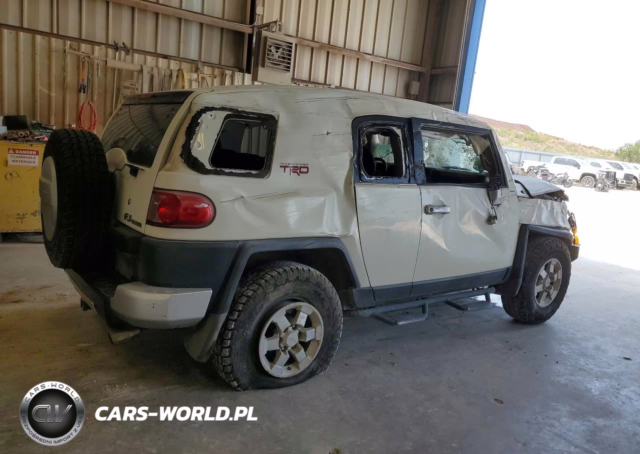 2010 Toyota Fj Cruiser Base VIN:JTEZU4BF9AK009639 - 3