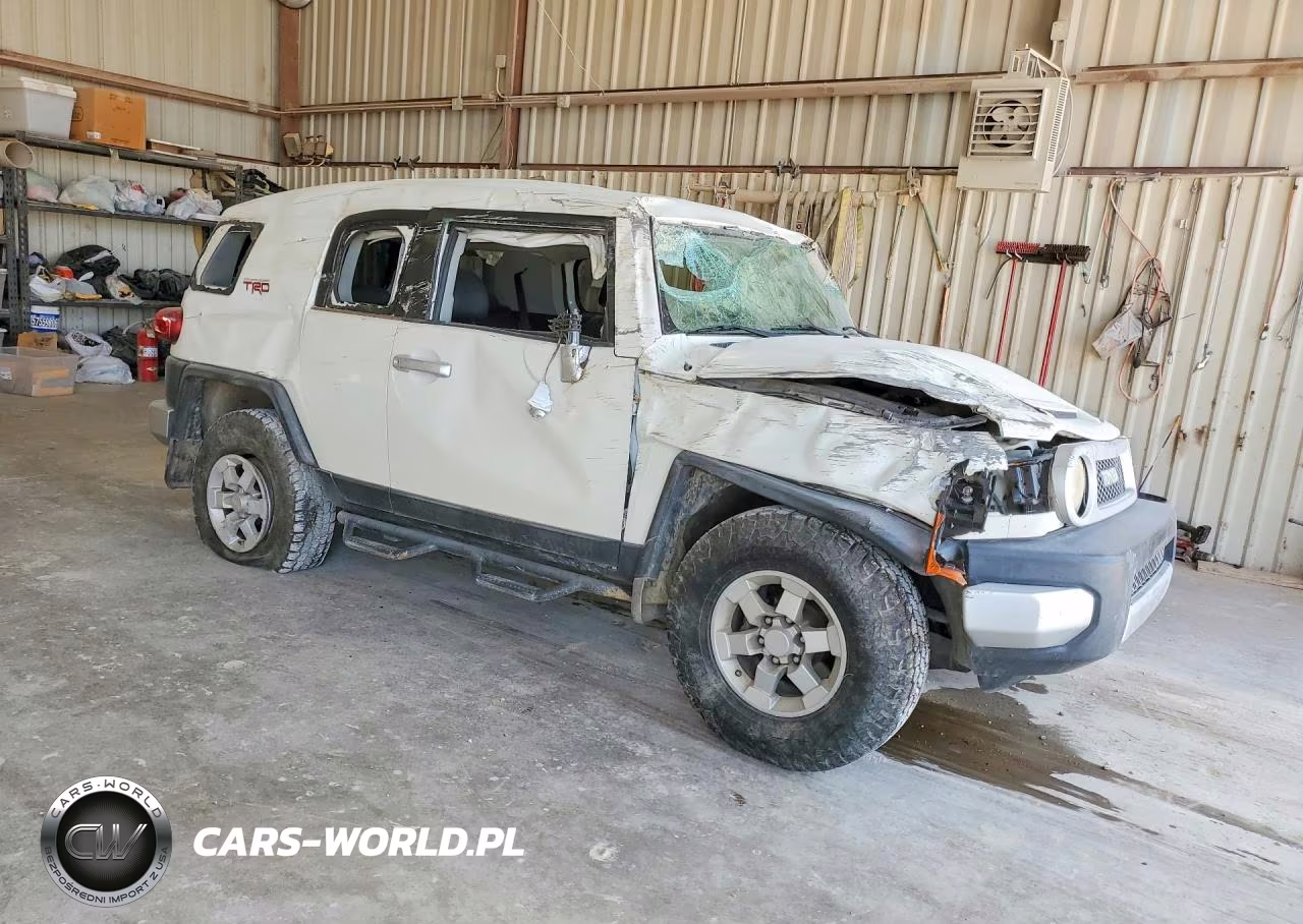 2010 Toyota Fj Cruiser Base VIN:JTEZU4BF9AK009639 - 4
