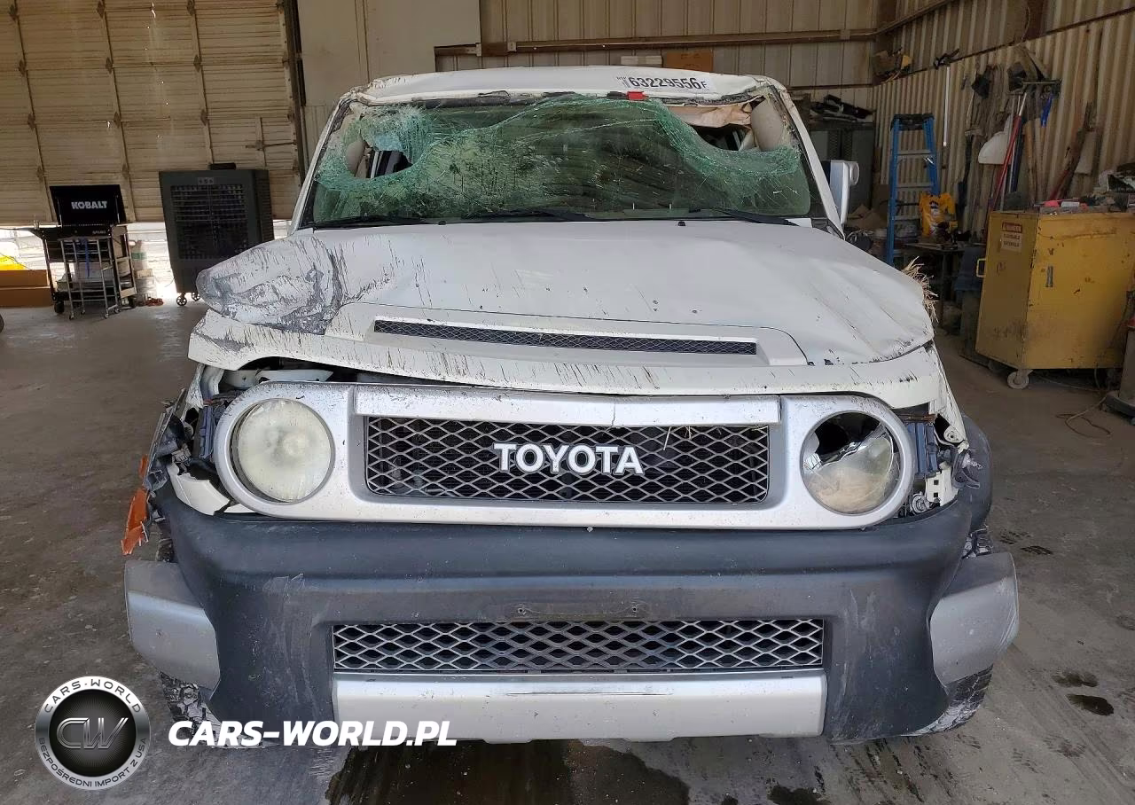 2010 Toyota Fj Cruiser Base VIN:JTEZU4BF9AK009639 - 5