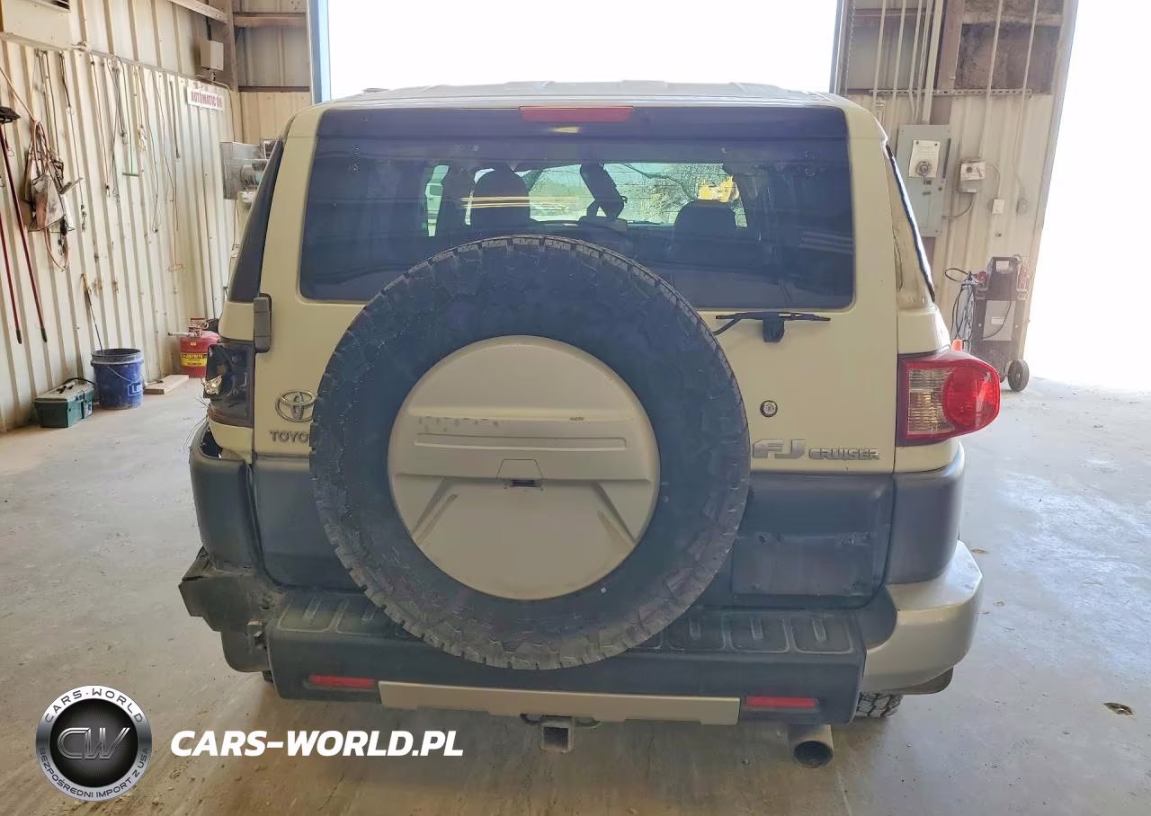 2010 Toyota Fj Cruiser Base VIN:JTEZU4BF9AK009639 - 6