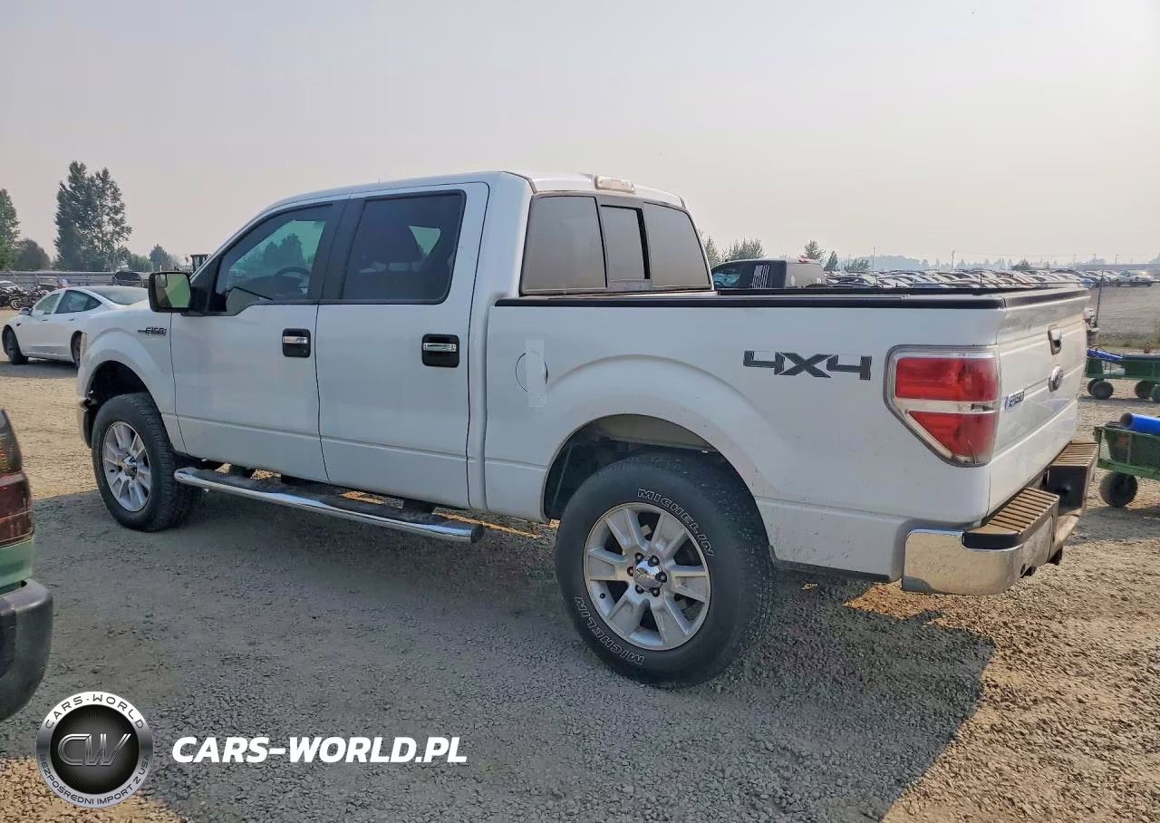2011 Ford F150 Supercrew VIN:1FTFW1EF3BFB58246 - 2