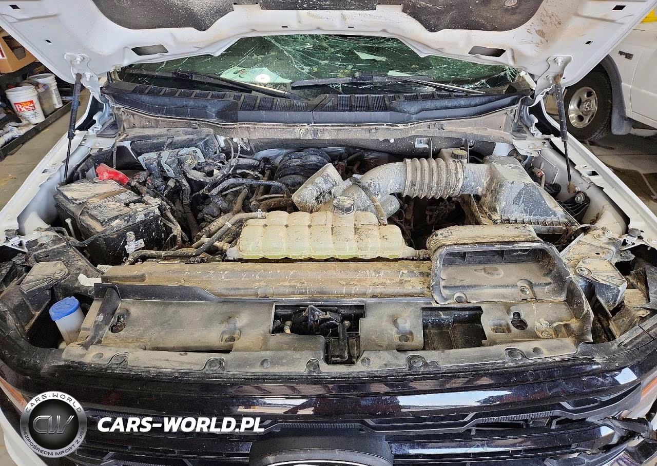 2025 Ford F150 Xlt VIN:1FTFW3L52SKD74098 - 11
