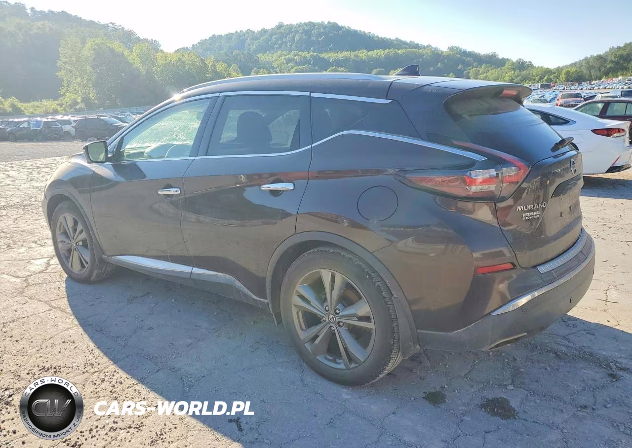2020 Nissan Murano Platinum VIN:5N1AZ2DSXLN120117 - 2
