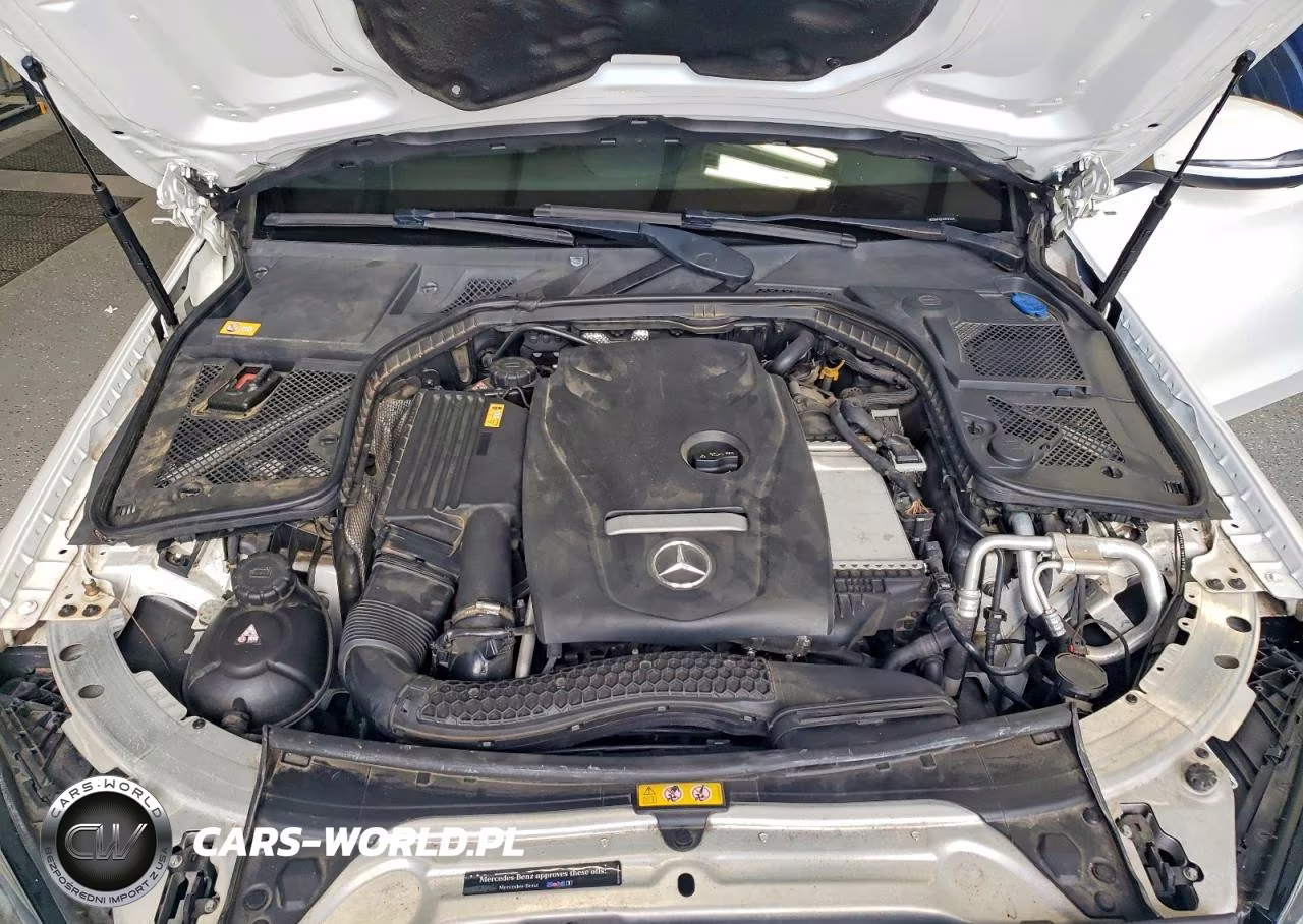 2016 Mercedes-Benz C 300 VIN:WDDWF4JB1GR141266 - 11