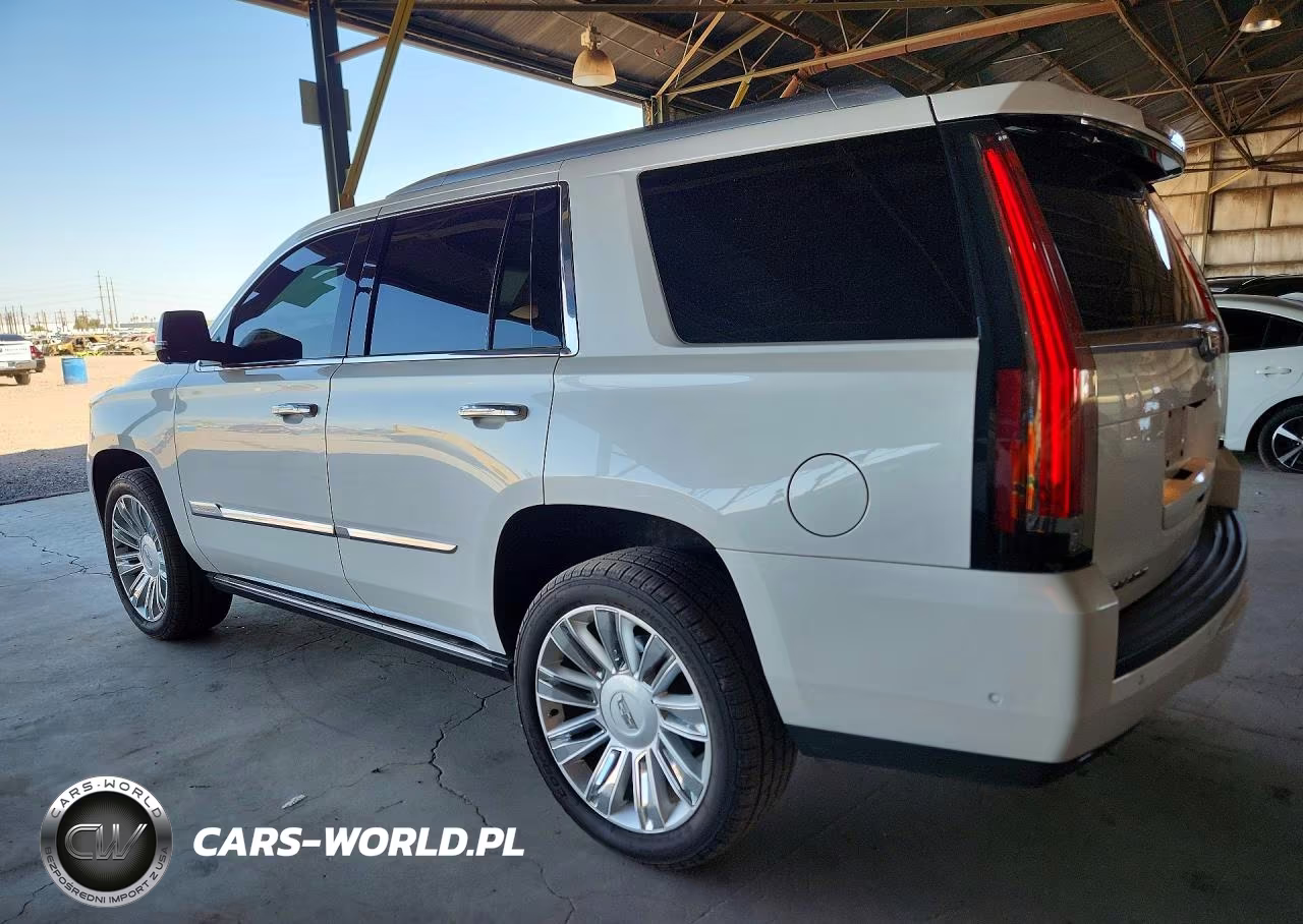 2018 Cadillac Escalade Platinum VIN:1GYS4DKJ8JR256369 - 2