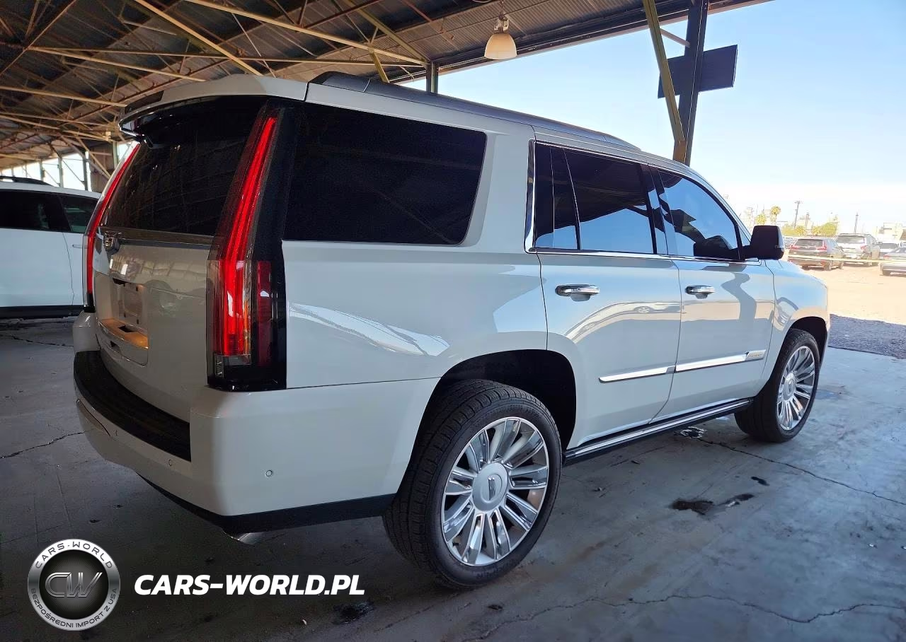 2018 Cadillac Escalade Platinum VIN:1GYS4DKJ8JR256369 - 3