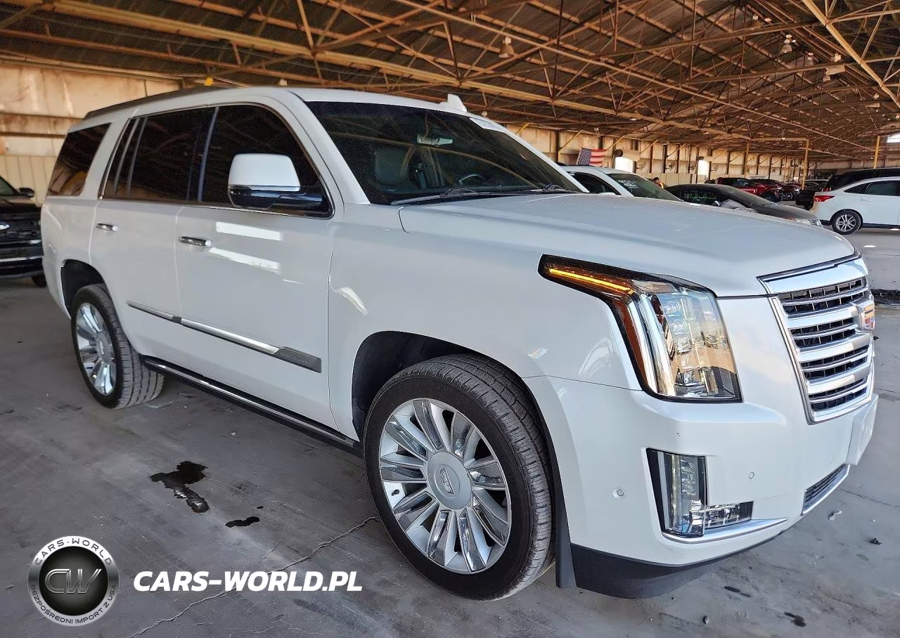2018 Cadillac Escalade Platinum VIN:1GYS4DKJ8JR256369 - 4