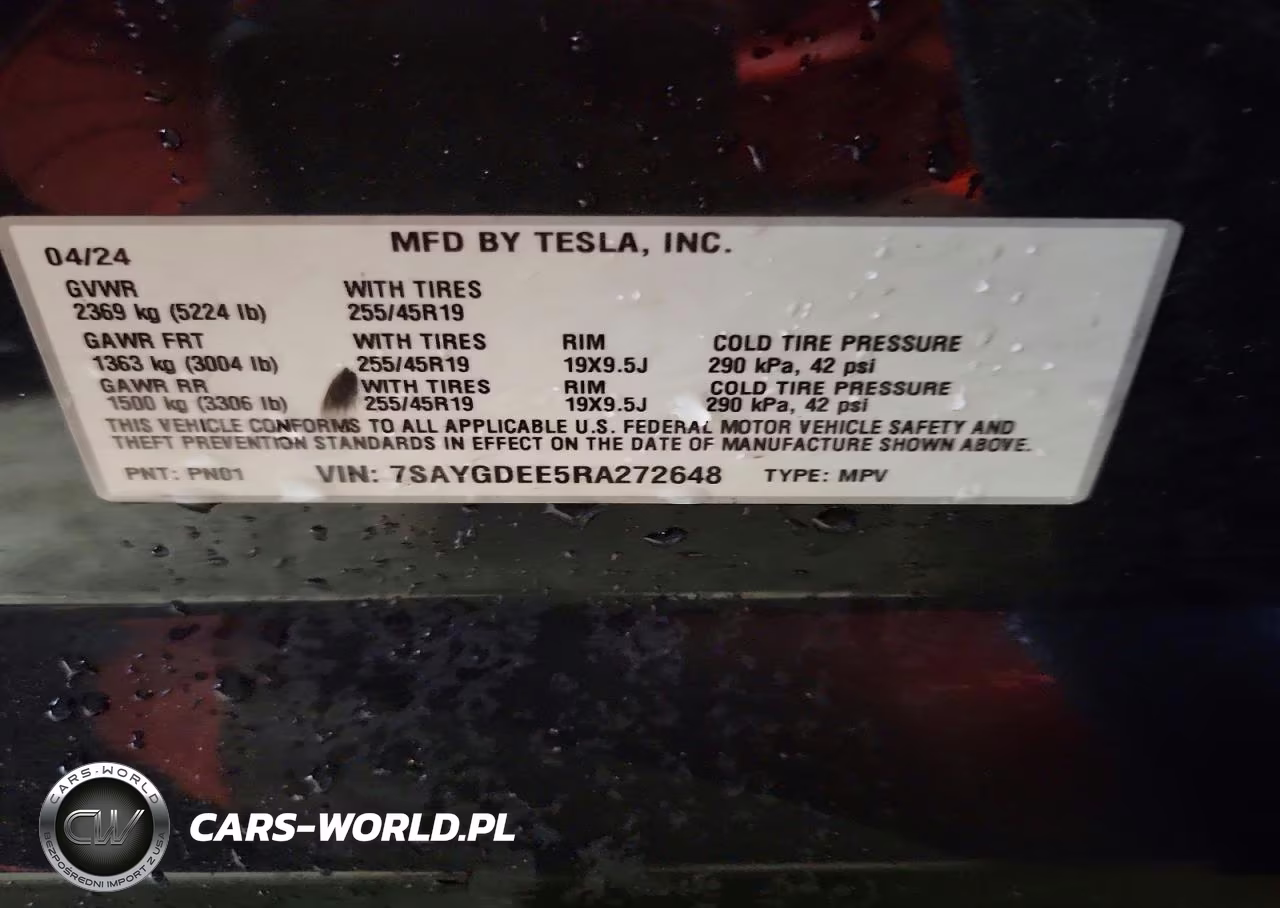 2024 Tesla Model Y VIN:7SAYGDEE5RA272648 - 12