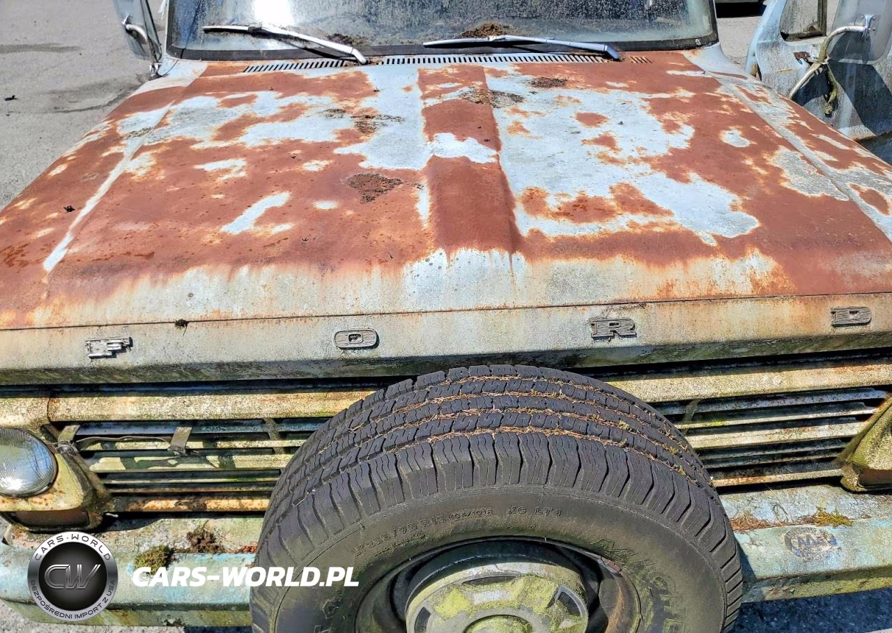 1969 Ford F-100 VIN:F10YRE15442 - 11