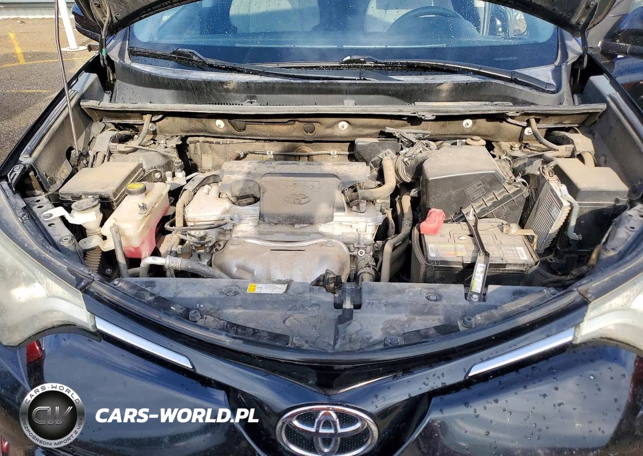 2016 Toyota Rav4 Xle VIN:2T3RFREV1GW535844 - 11