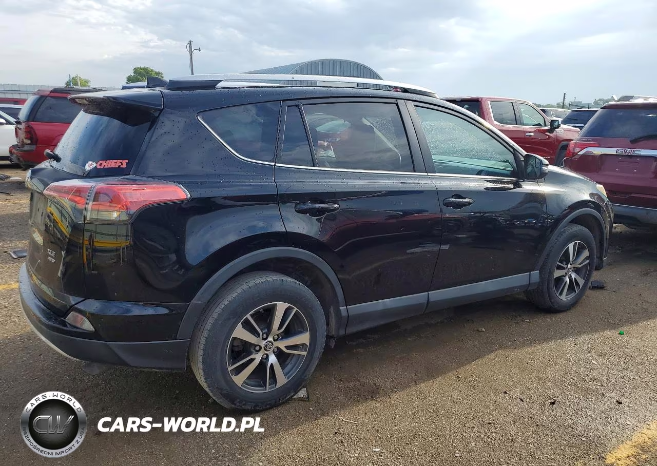 2016 Toyota Rav4 Xle VIN:2T3RFREV1GW535844 - 3