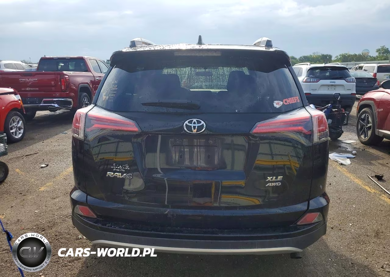 2016 Toyota Rav4 Xle VIN:2T3RFREV1GW535844 - 6