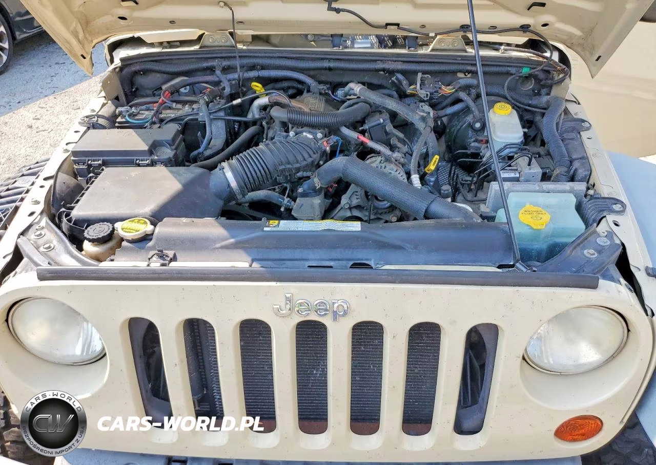 2011 Jeep Wrangler Sport VIN:1J4AA2D17BL525312 - 12