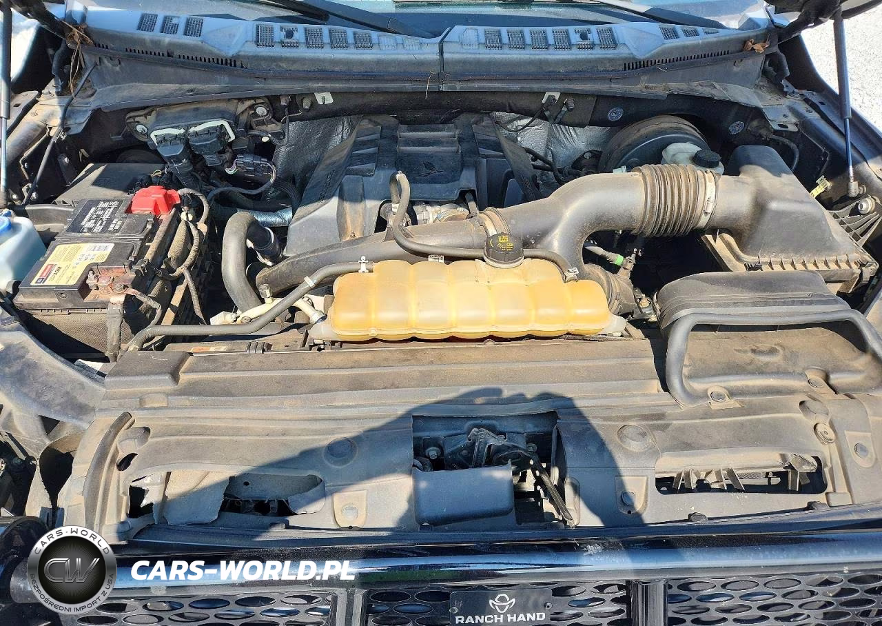 2016 Ford F150 Supercrew VIN:1FTEW1CP3GFC65621 - 11