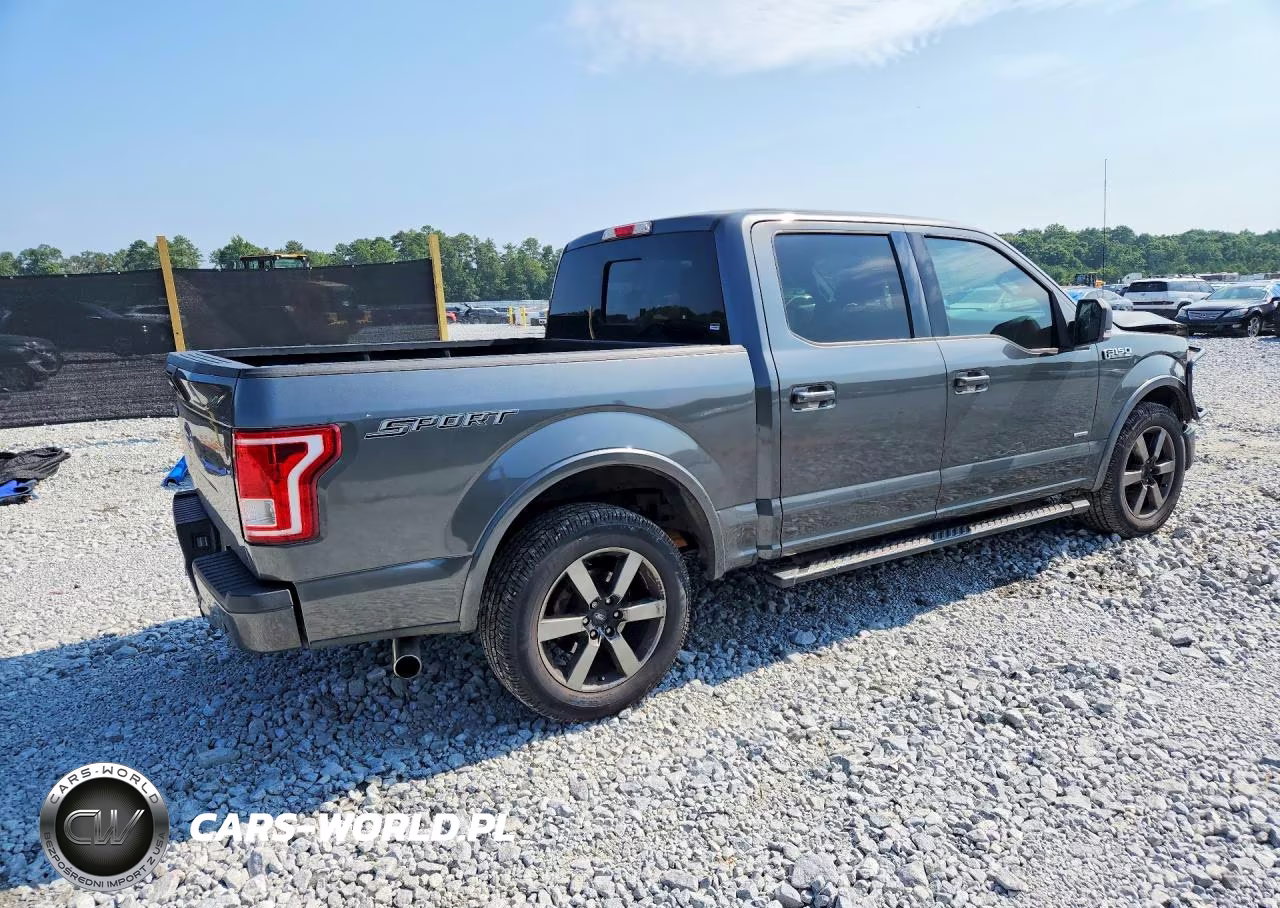 2016 Ford F150 Supercrew VIN:1FTEW1CP3GFC65621 - 3