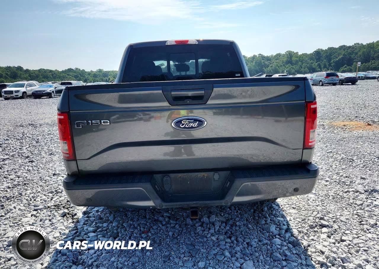 2016 Ford F150 Supercrew VIN:1FTEW1CP3GFC65621 - 6