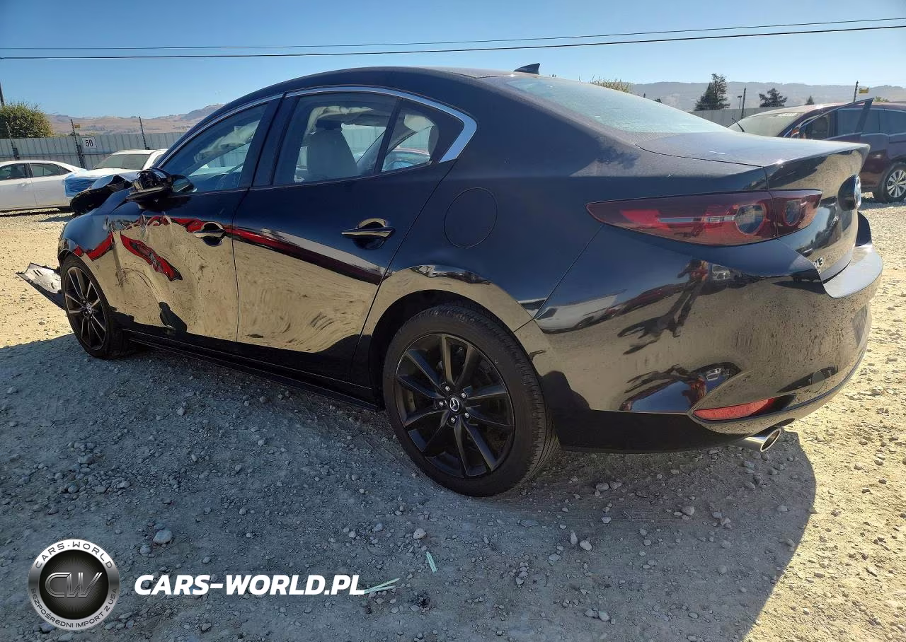2019 Mazda 3 Preferred VIN:JM1BPBDM8K1116346 - 2
