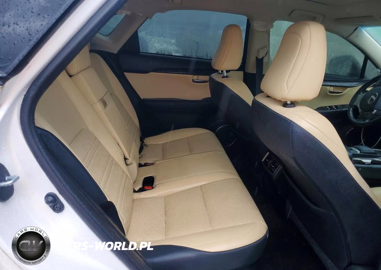 2019 Lexus Nx 300 Base VIN:JTJYARBZ2K2156920 - 11