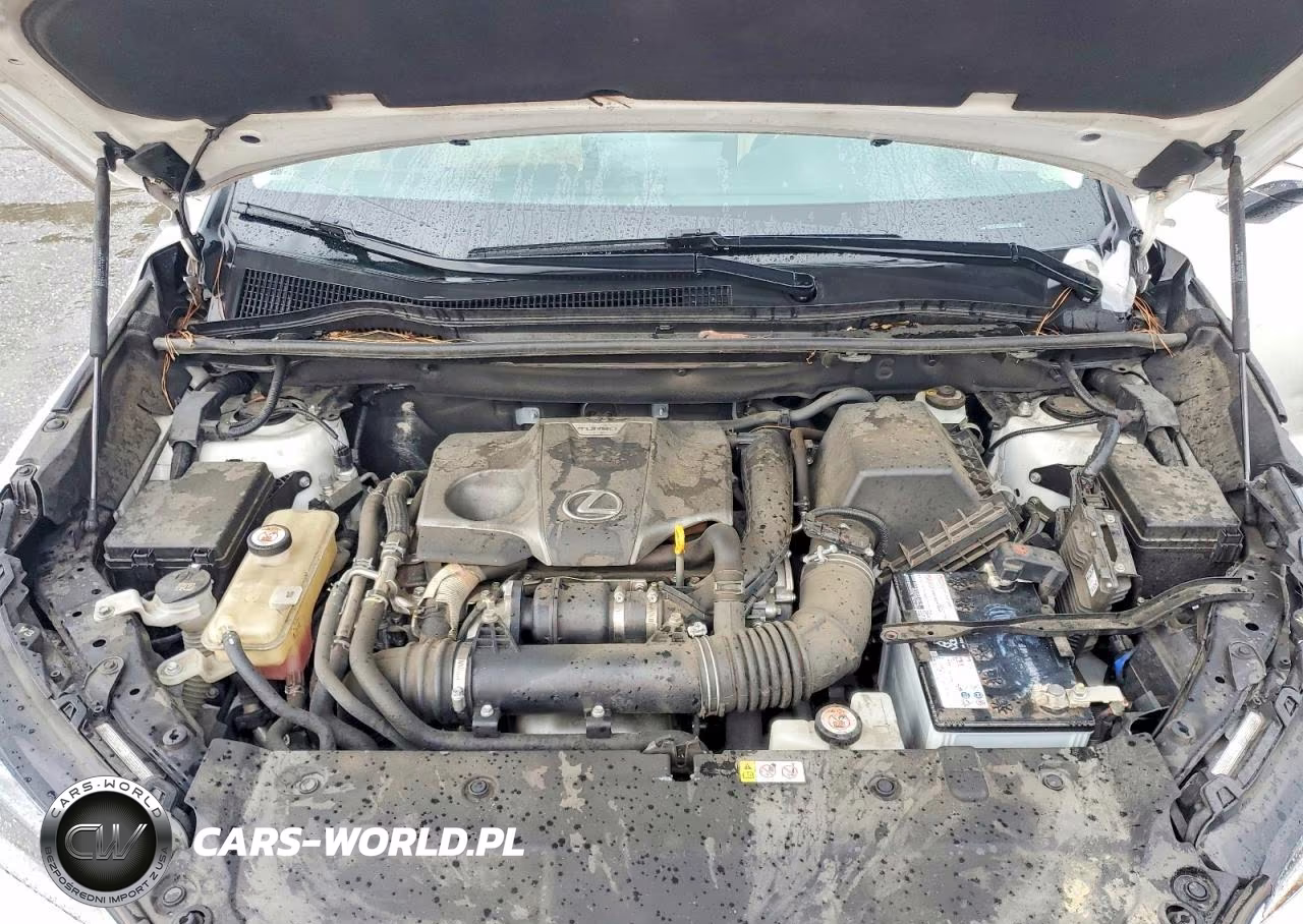 2019 Lexus Nx 300 Base VIN:JTJYARBZ2K2156920 - 12