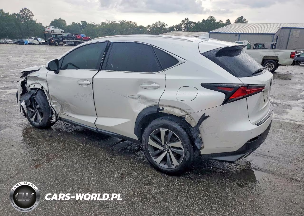 2019 Lexus Nx 300 Base VIN:JTJYARBZ2K2156920 - 2