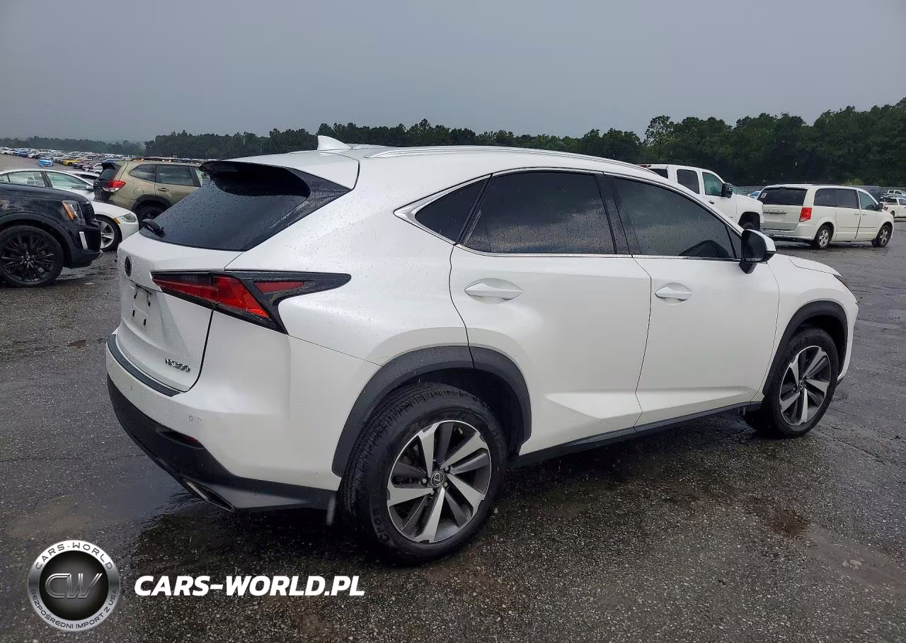2019 Lexus Nx 300 Base VIN:JTJYARBZ2K2156920 - 3