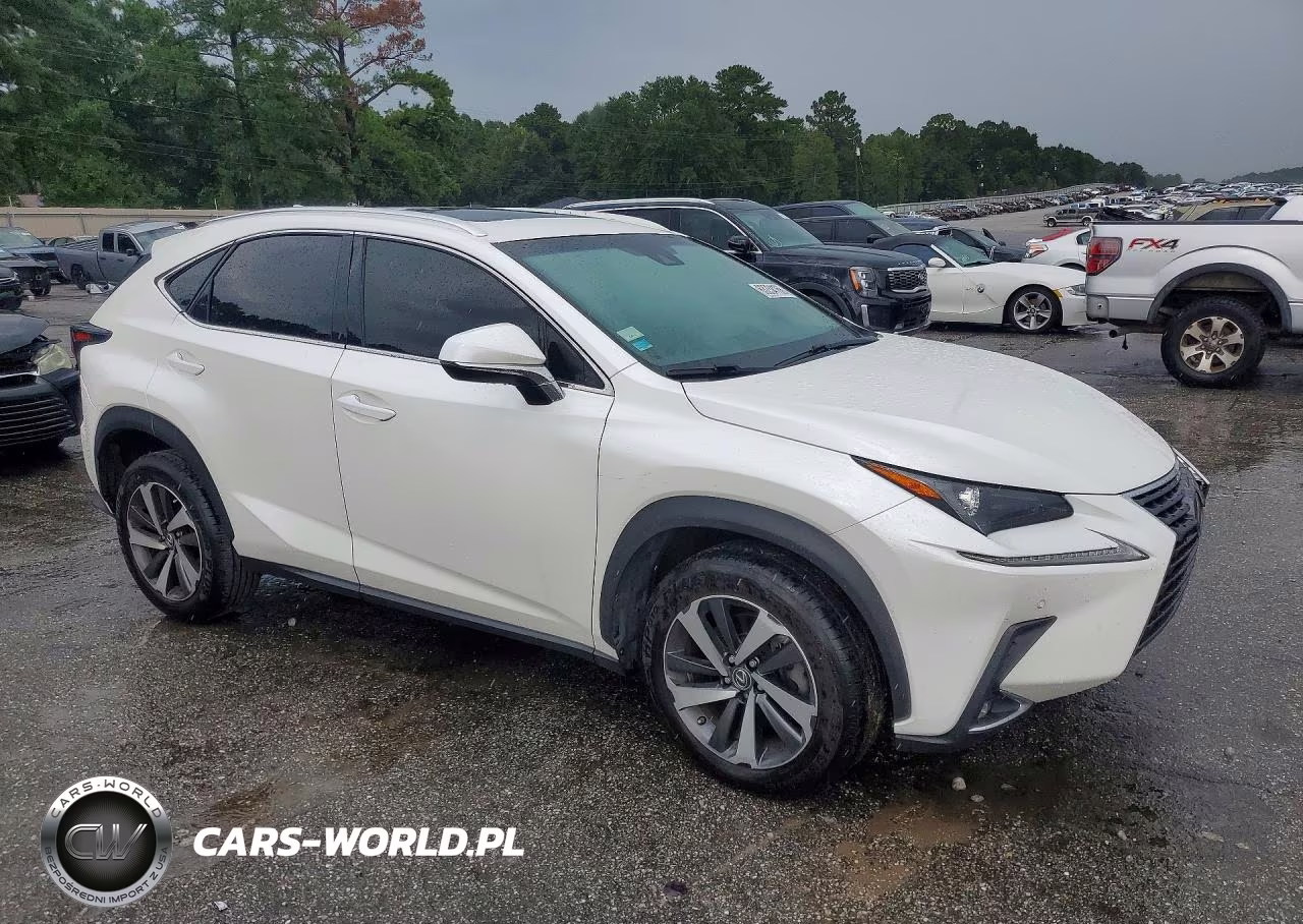 2019 Lexus Nx 300 Base VIN:JTJYARBZ2K2156920 - 4