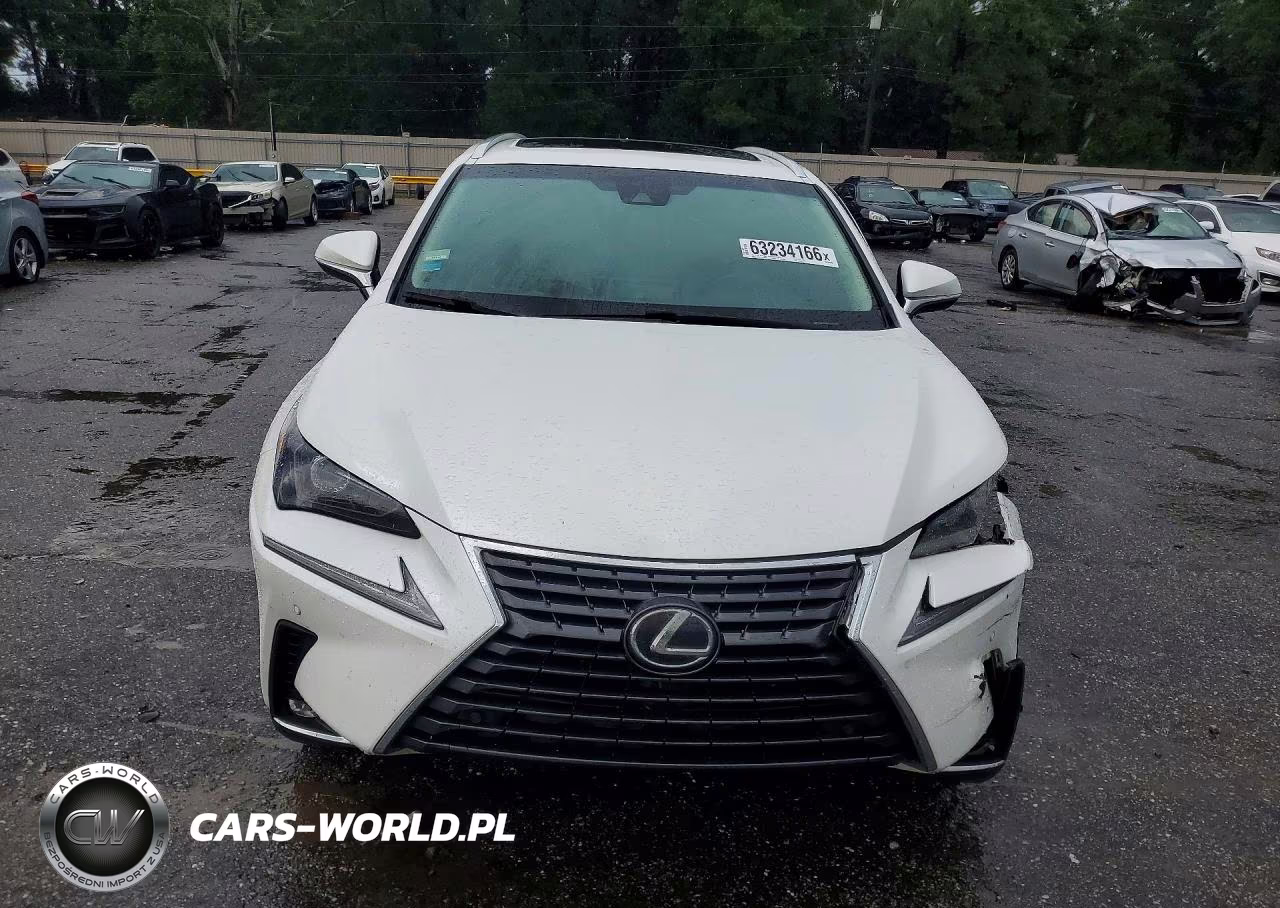 2019 Lexus Nx 300 Base VIN:JTJYARBZ2K2156920 - 5