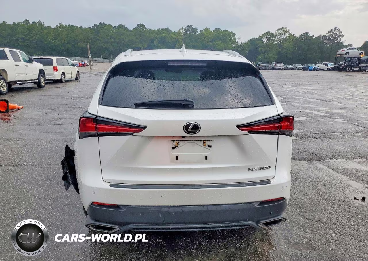 2019 Lexus Nx 300 Base VIN:JTJYARBZ2K2156920 - 6