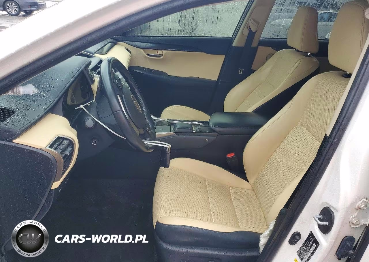 2019 Lexus Nx 300 Base VIN:JTJYARBZ2K2156920 - 7