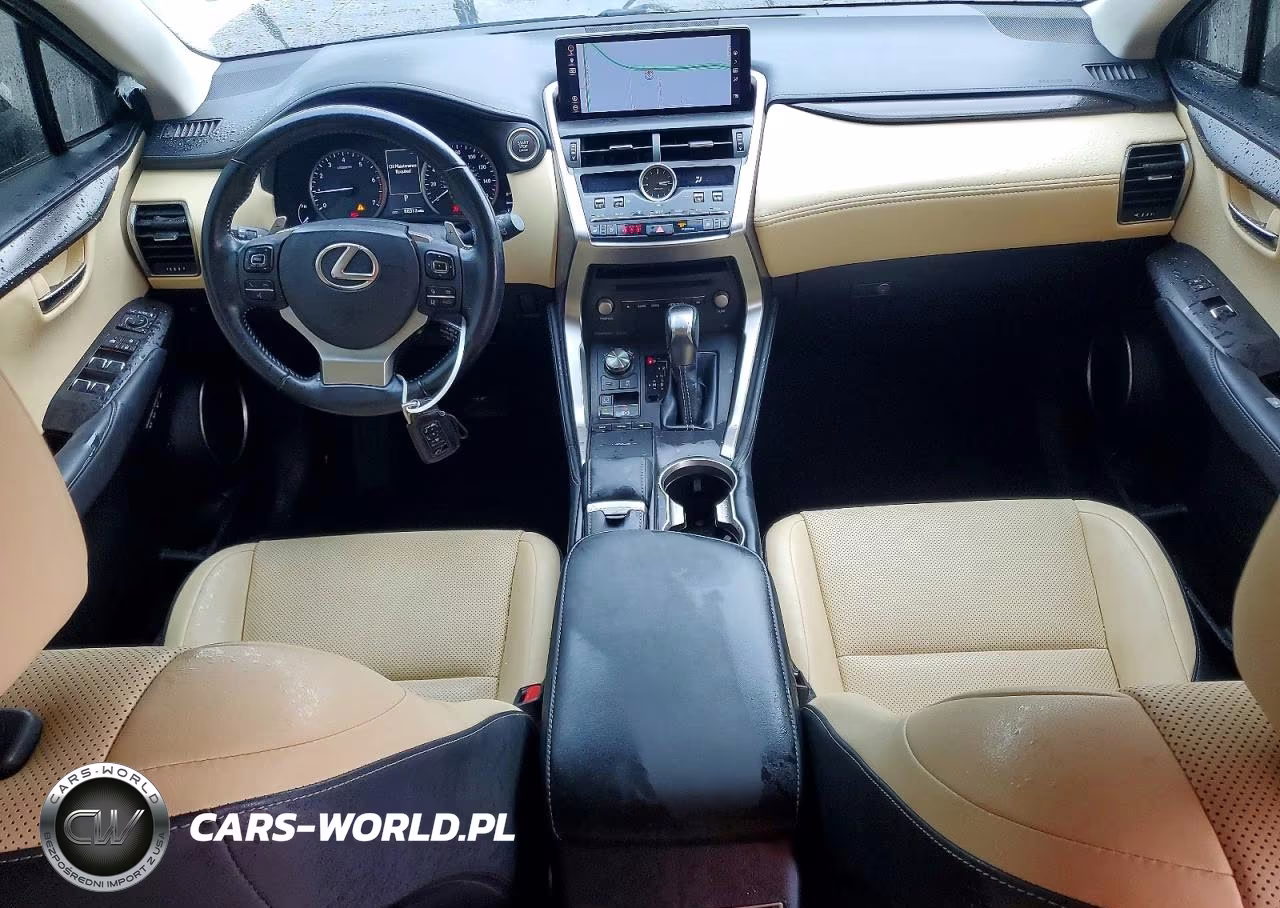 2019 Lexus Nx 300 Base VIN:JTJYARBZ2K2156920 - 8