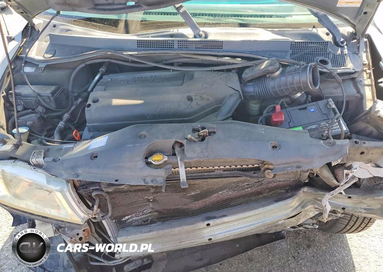 2002 Honda Odyssey Lx VIN:5FNRL185X2B019518 - 12