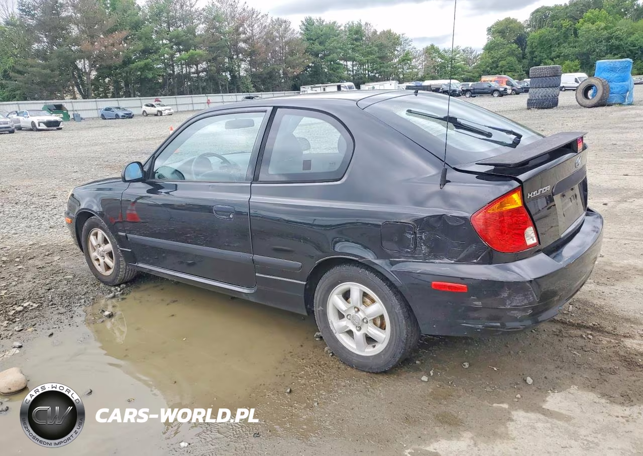 2004 Hyundai Accent Gl VIN:KMHCG35C04U303951 - 2