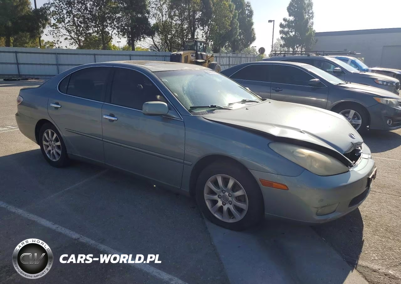 2004 Lexus Es 330 VIN:JTHBA30G540015666 - 4
