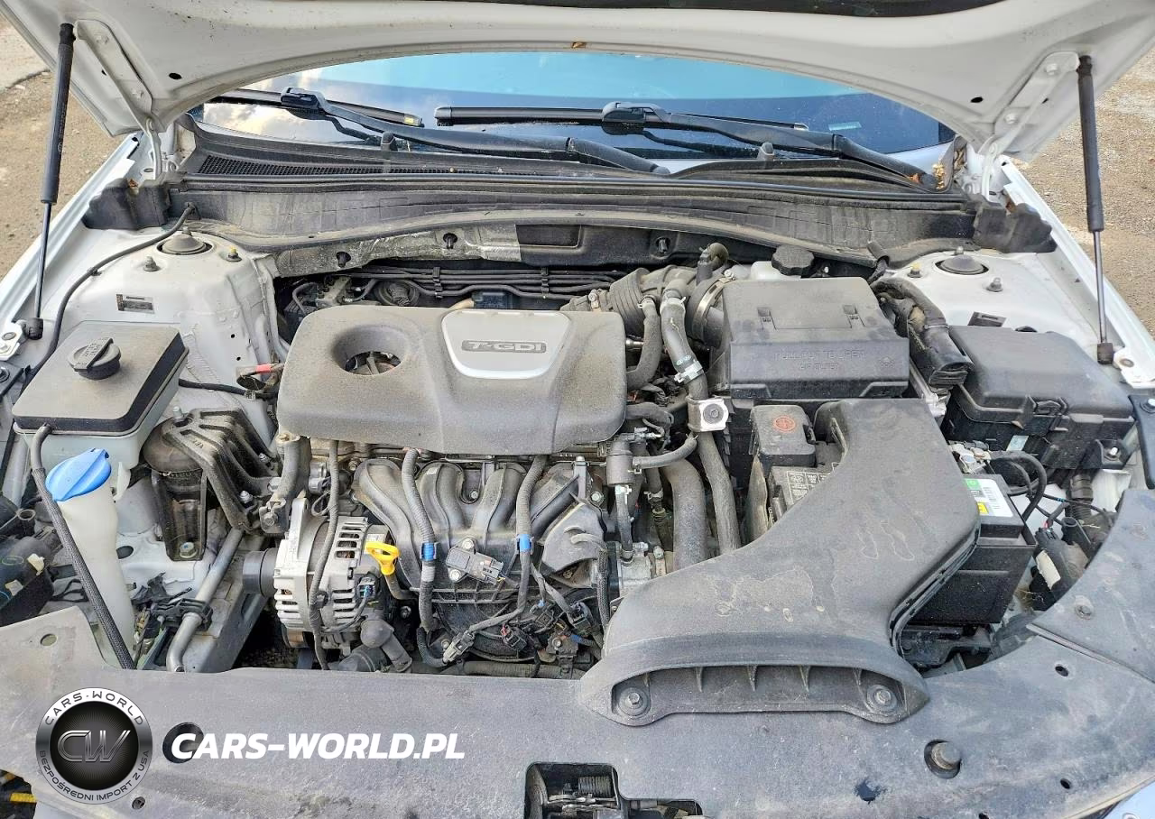 2020 Kia Optima Ex VIN:5XXGU4L12LG412616 - 11
