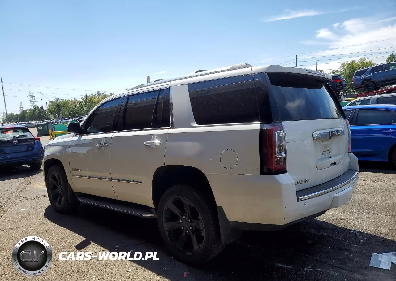 2019 GMC Yukon Denali VIN:1GKS2CKJ5KR144561 - 2